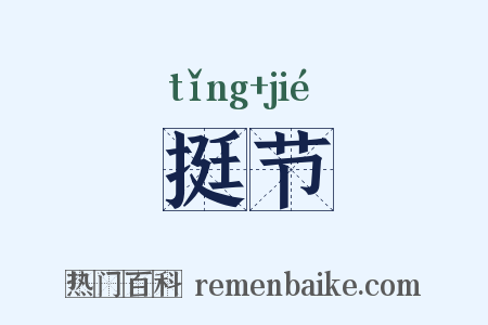 挺节是什么意思的图片